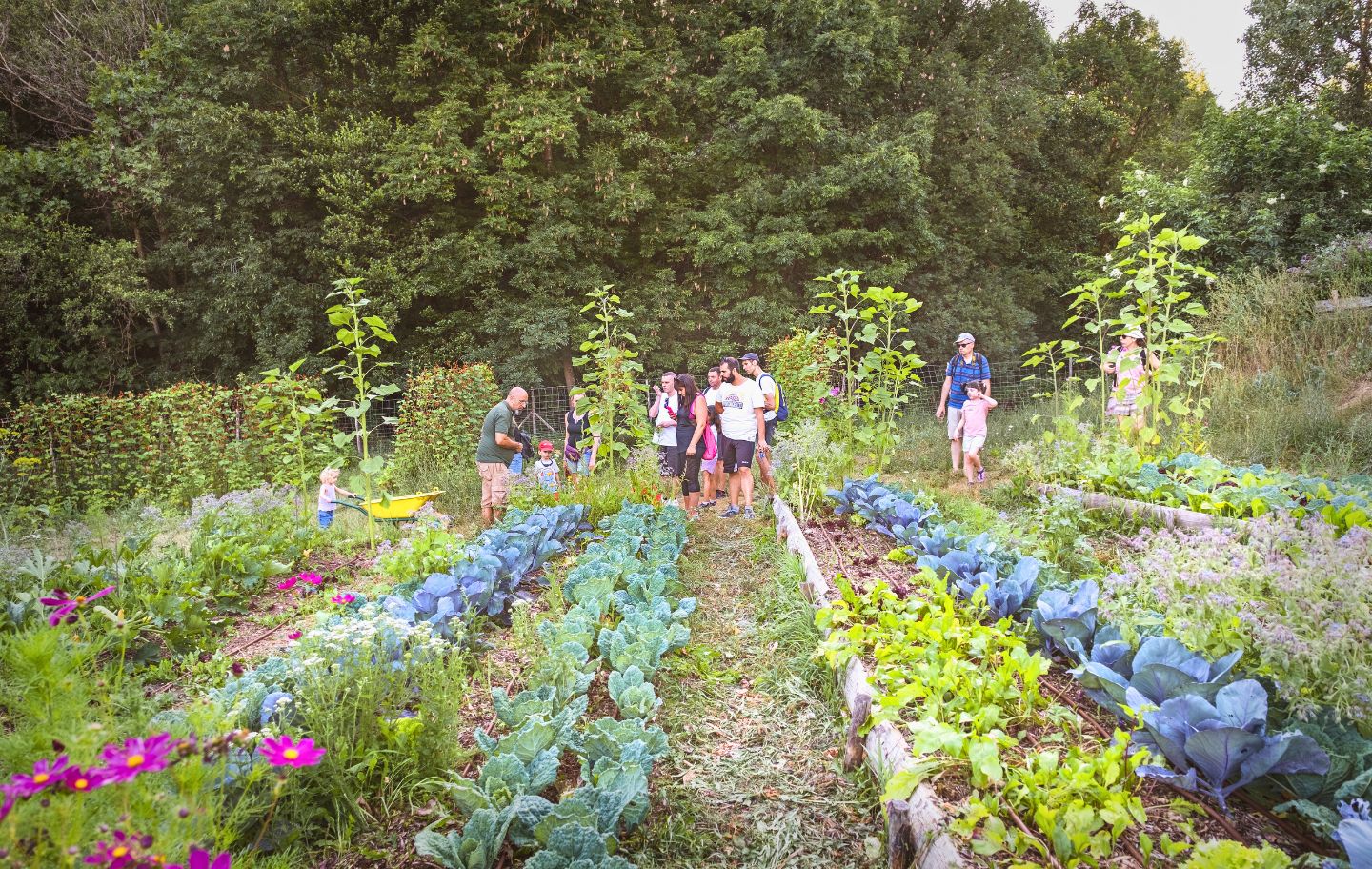 El Verger Cerdà és una granja-hort de permacultura que alimenta els restaurants de l'Ecoresort