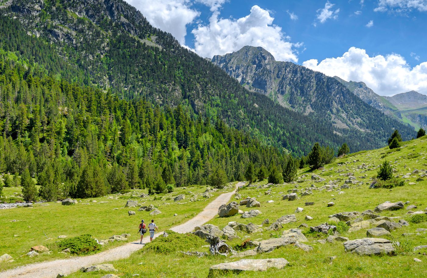 El camí que remunta la ribera de Sant Nicolau arriba fins a l'estany Llong
