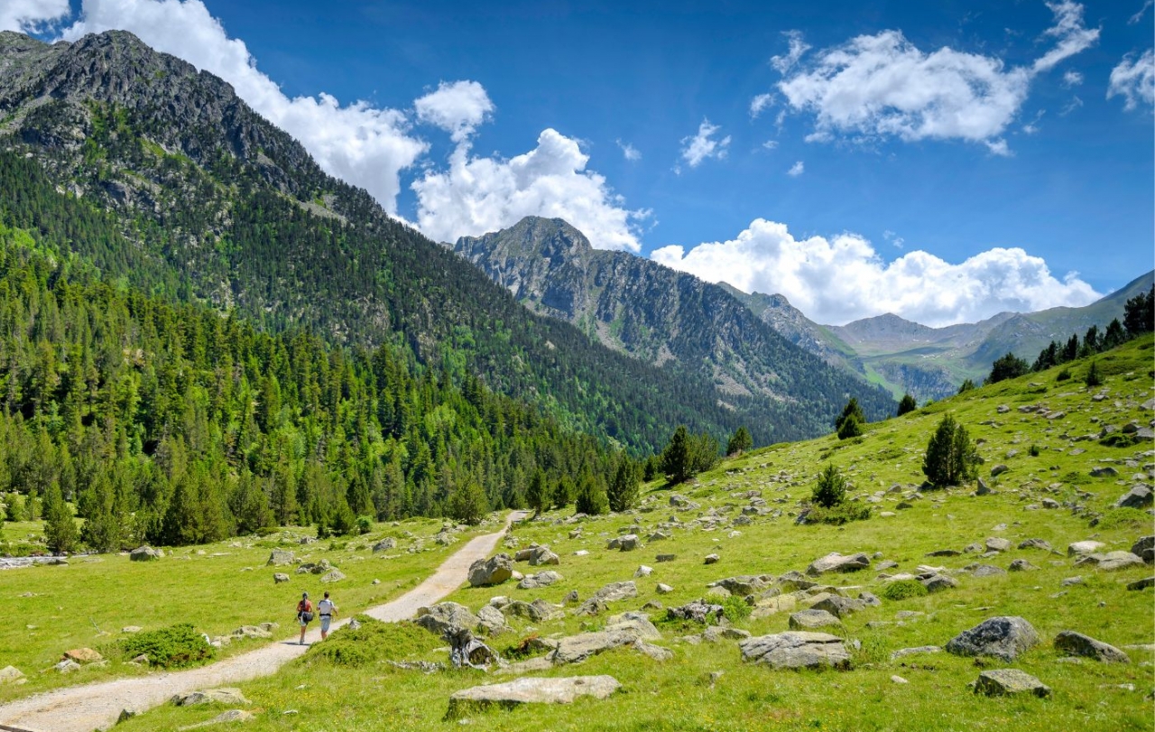 Des del planell d’Aigüestortes surt un camí que remunta la ribera de Sant Nicolau i arriba fins a l’estany Llong Des del planell d’Aigüestortes surt un camí que remunta la ribera de Sant Nicolau i arriba fins a l’estany Llong