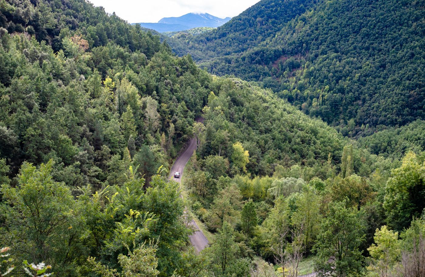 La carretera que porta a Beget, entre natura exhuberant La carretera que porta a Beget, entre natura exhuberant