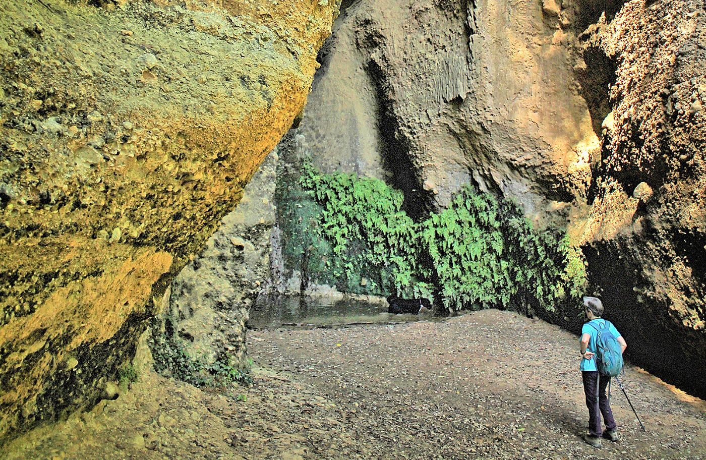 El salt dels Cucs, a Cabrera d'Anoia, impressiona vist des de sota; és un dels racons més espectaculars de la ruta.