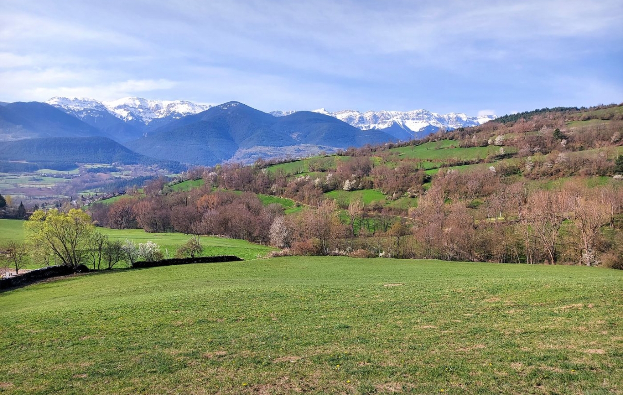 Els entorns de Prullans amb el Cadí al fons. Els entorns de Prullans amb el Cadí al fons.