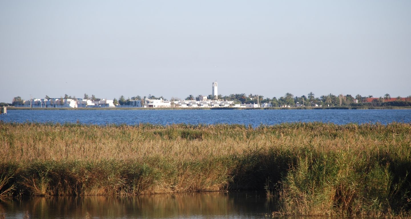 Vista de Poblenou del Delta