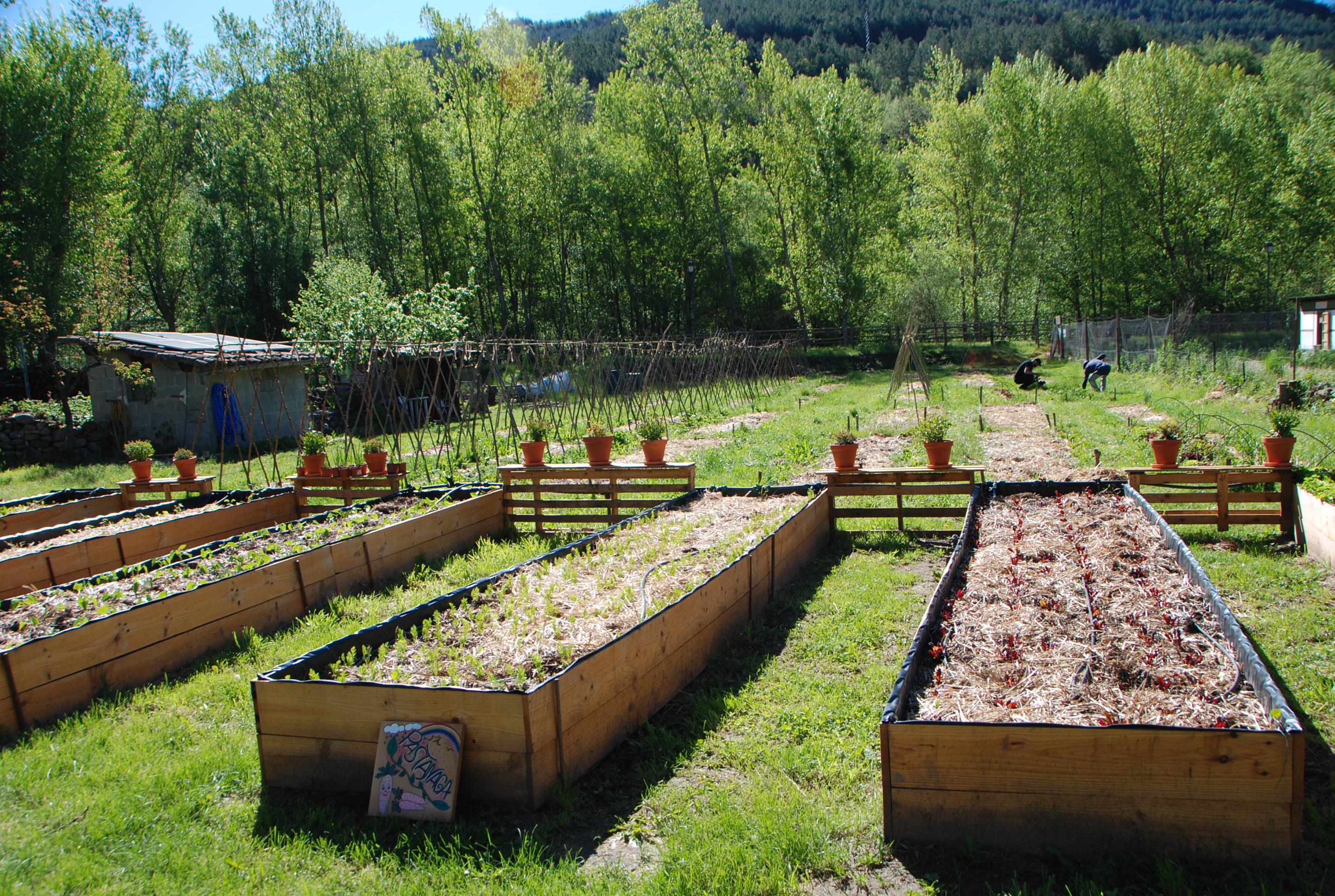 L'hort comunitari Senterada Viu compta amb persones sòcies d’arreu del país