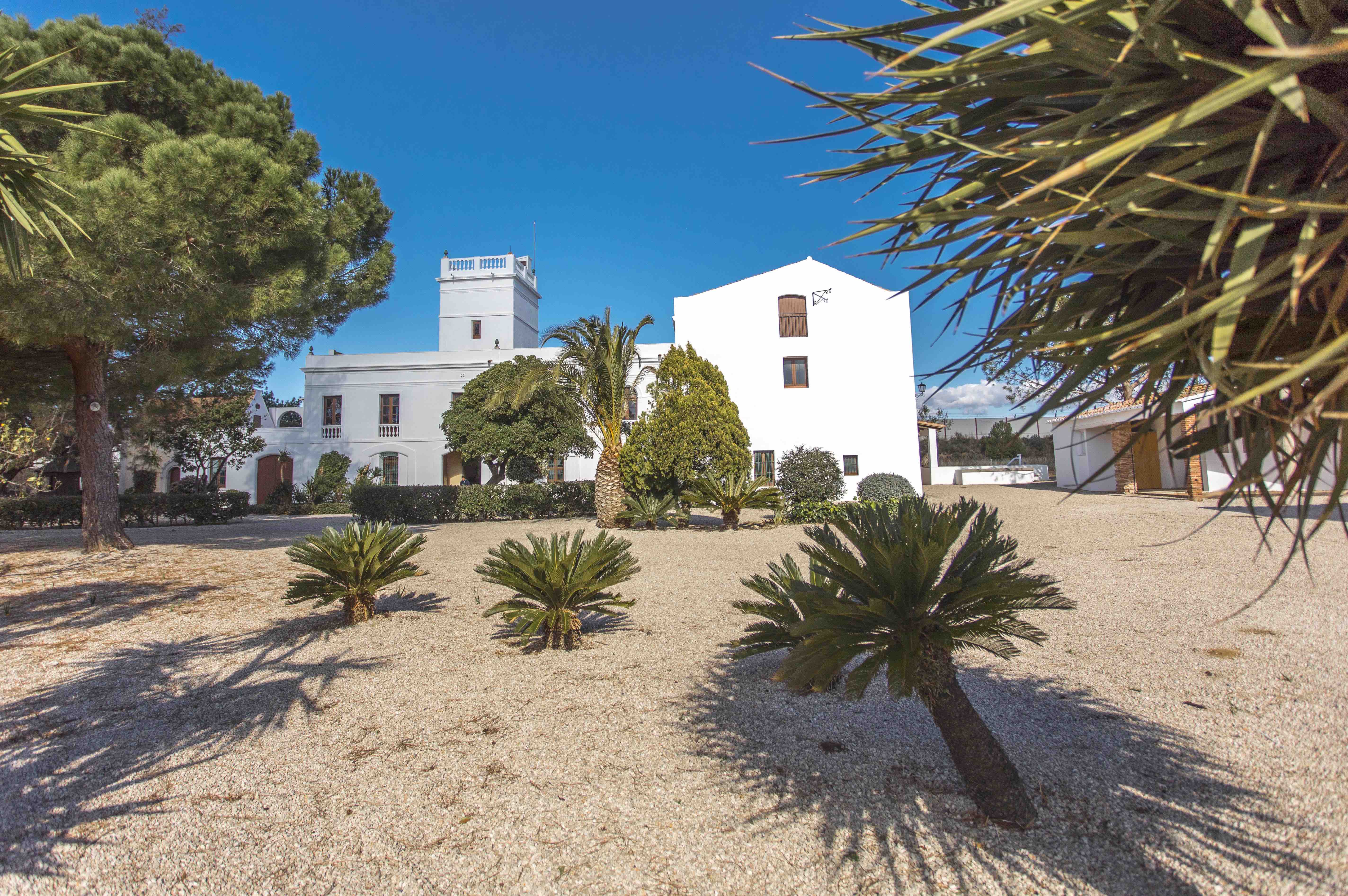 Visitar el Mas Miró de Mont-roig del Camp és entrar en l’entorn que va inspirar bona part de l'obra del pintor.