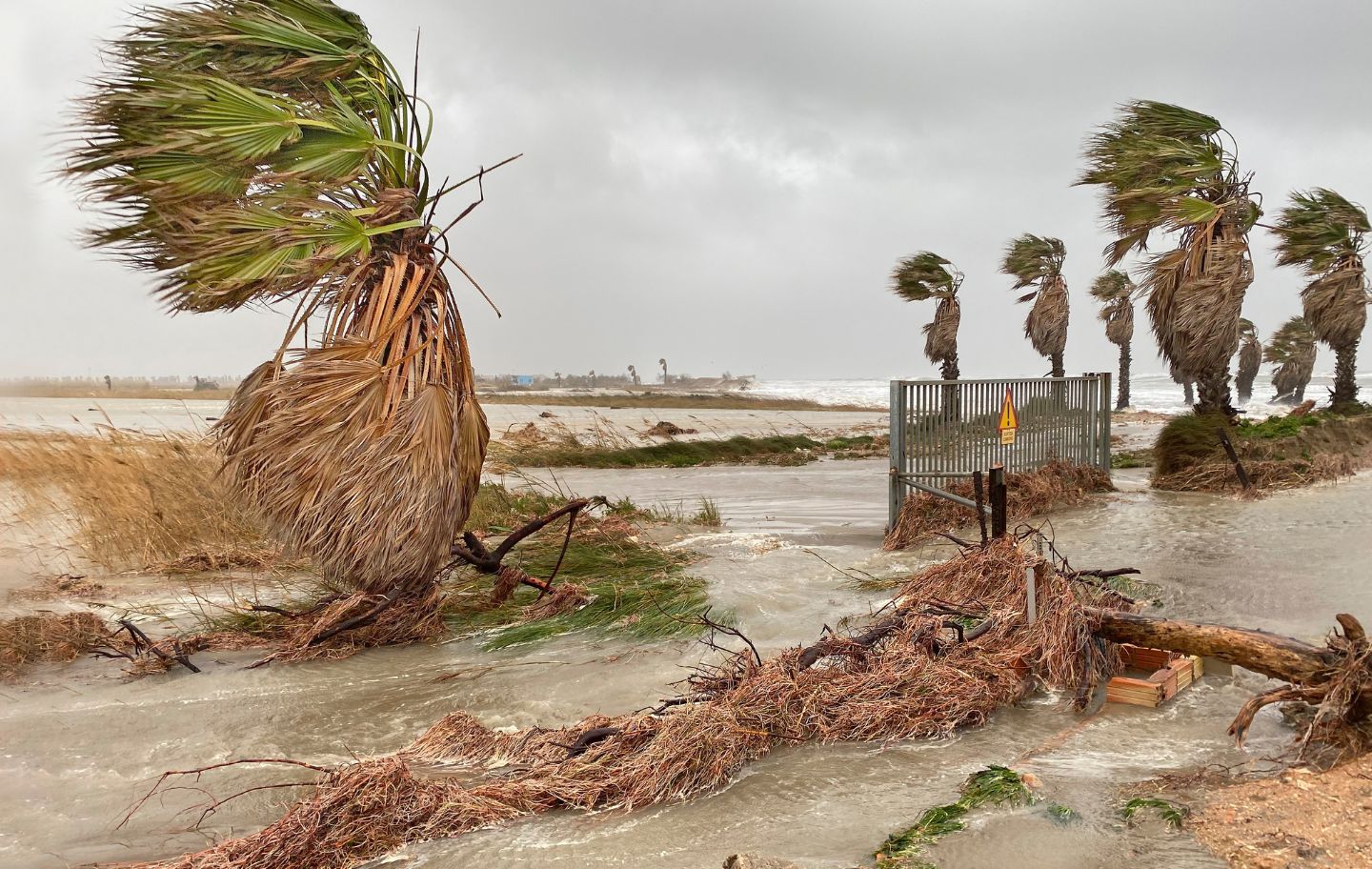 Els efectes d'un temporal al delta de l'Ebre