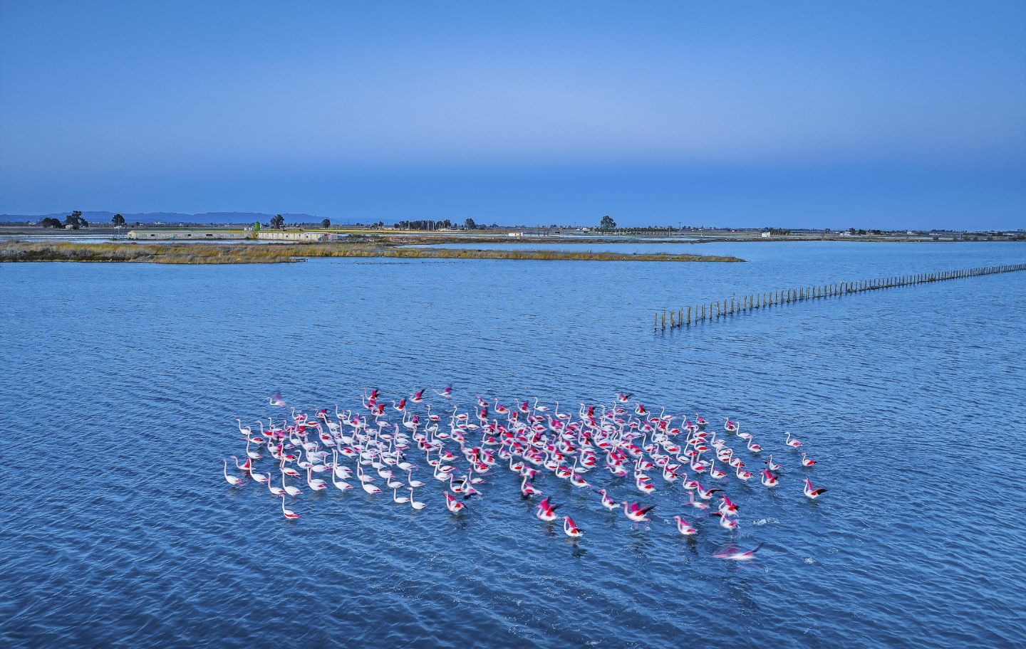 El Delta és un paradís natural que regala vida, bellesa i equilibri