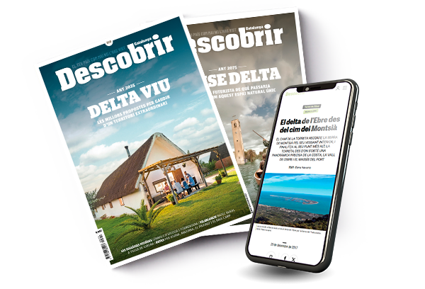 descobrir mixta delta