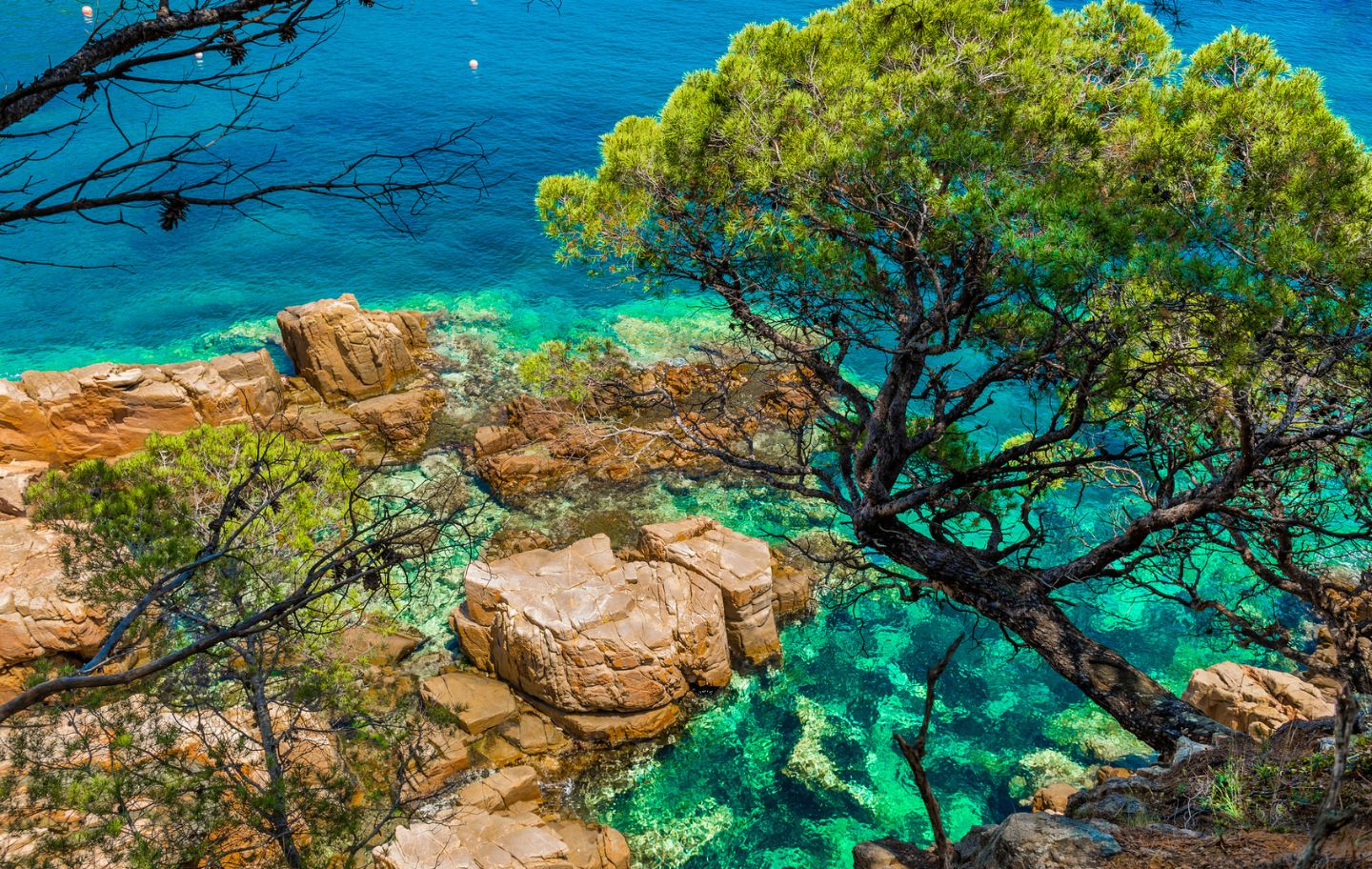 Un dels trams del camí de ronda a Begur Un dels trams del camí de ronda a Begur