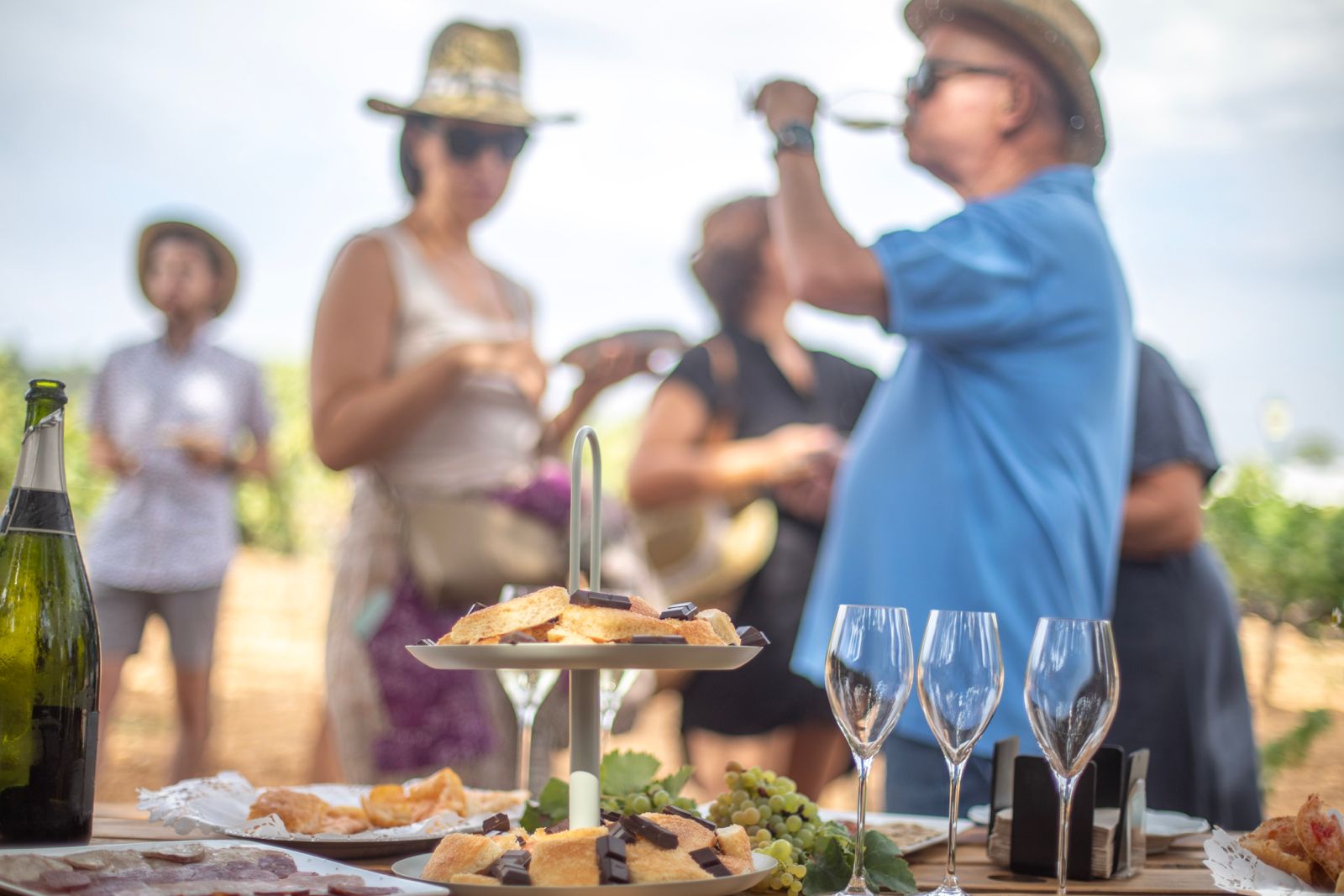 La Festa de la Verema permet gaudir de diferents tastos als cellers