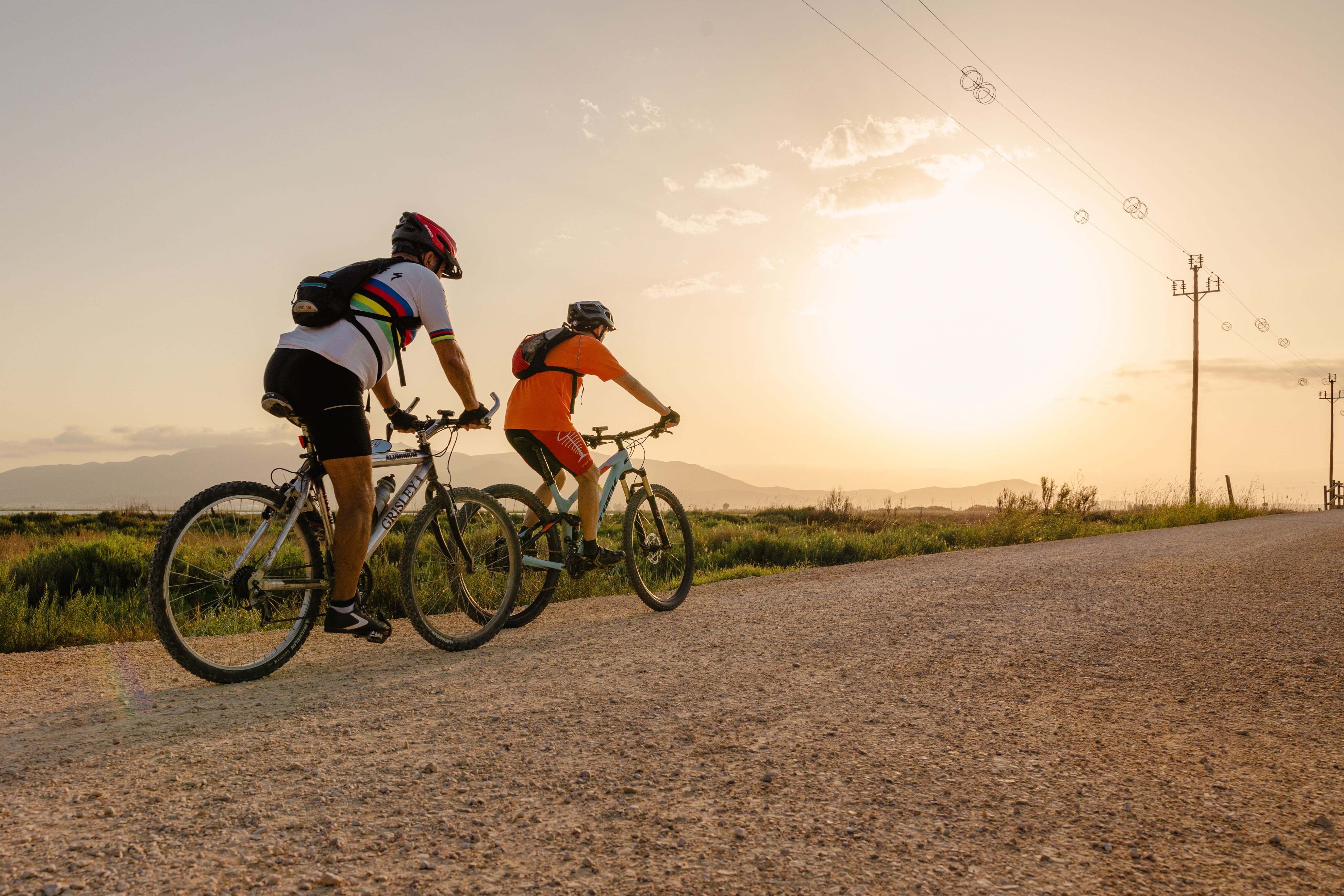 Recórrer el delta de l'Ebre en bicicleta és una experiència única Recórrer el delta de l'Ebre en bicicleta és una experiència única