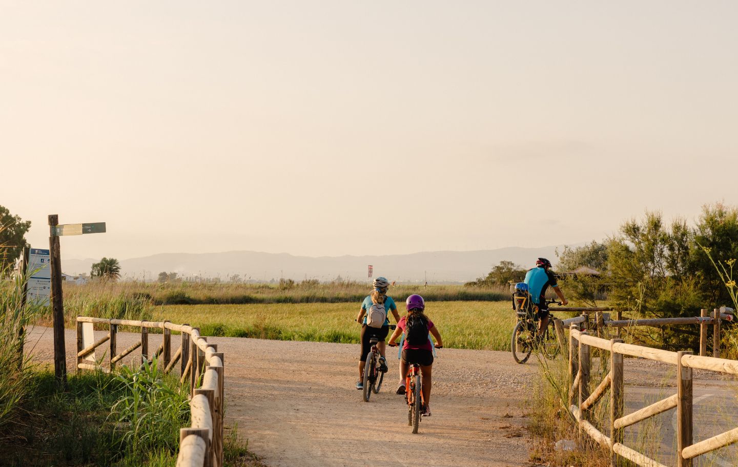 Una ruta entre llacunes per descobrir el Delta Una ruta entre llacunes per descobrir el Delta