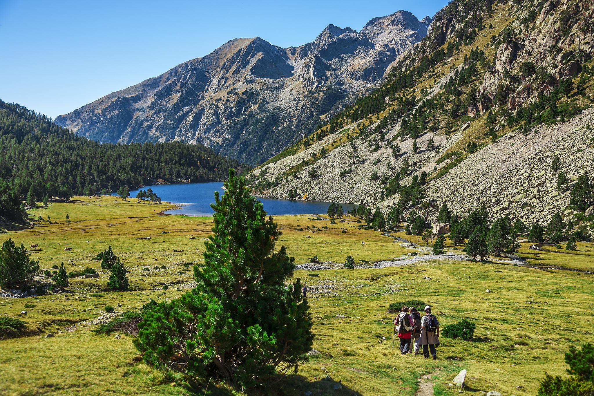 Passejada pel Parc Nacional d'Aigüestortes i Estany de Sant Maurici