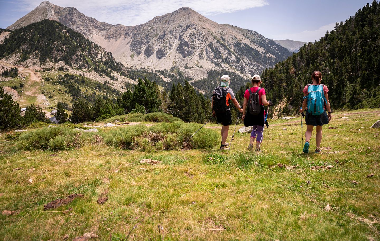 Excursionistes fent un itinerari a peu al Parc Natural de les Capçaleres del Ter i del Freser
