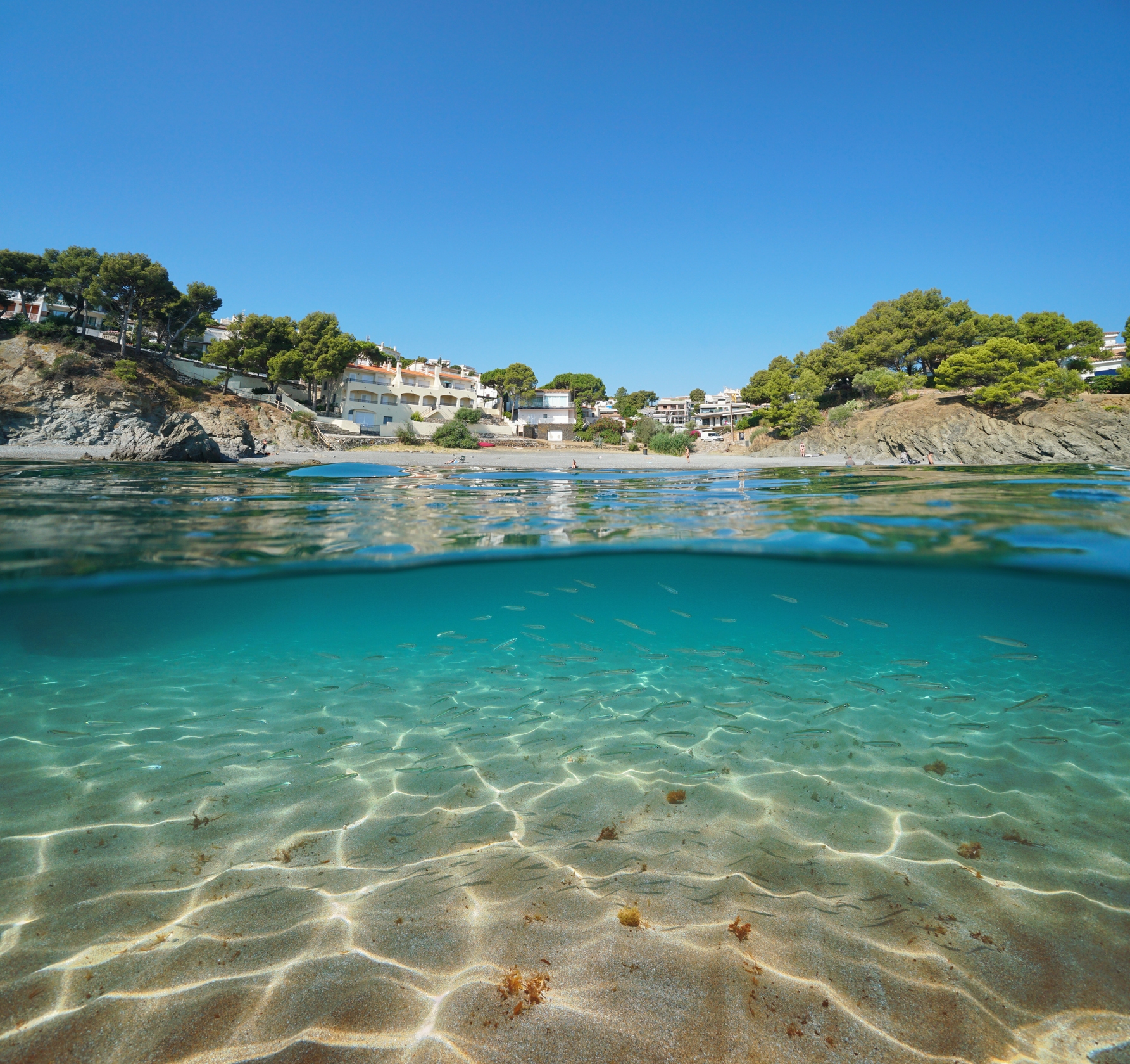 Peixets a la platja de les Tonyines, a Llançà