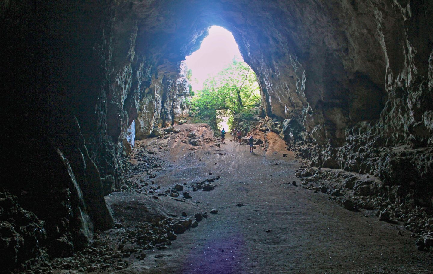 La cova des Coloms està situada al barranc de Binigaus i és fàcilment accessible per a nens.