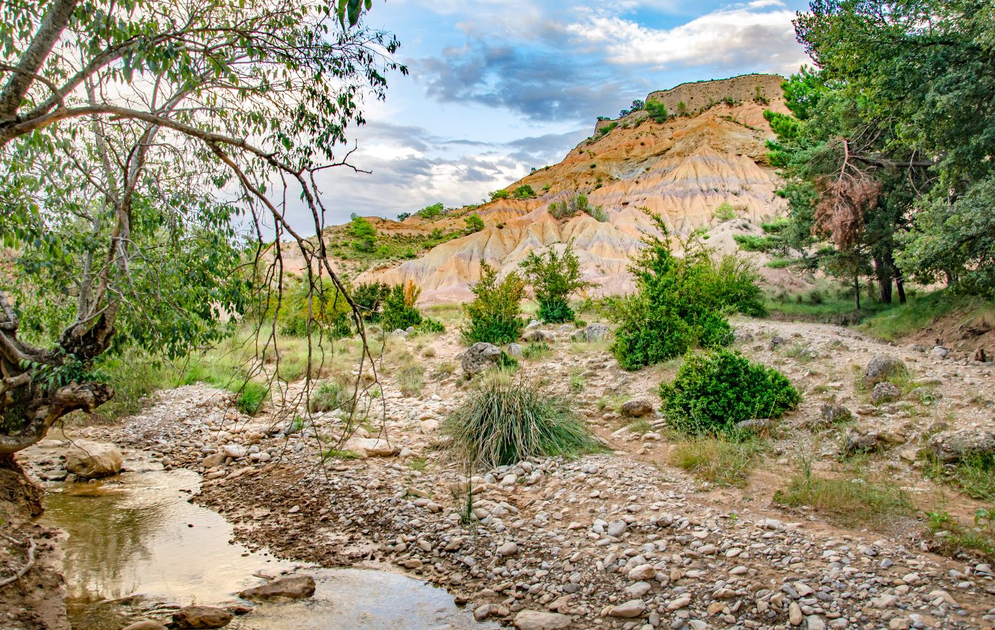 La Costa dels Traginers, a prop del nucli de Sant Romà d’Abella, està solcada pels xaragalls, els reguerons que forma l’aigua de la pluja i que han deixat al descobert les capes de sediments.