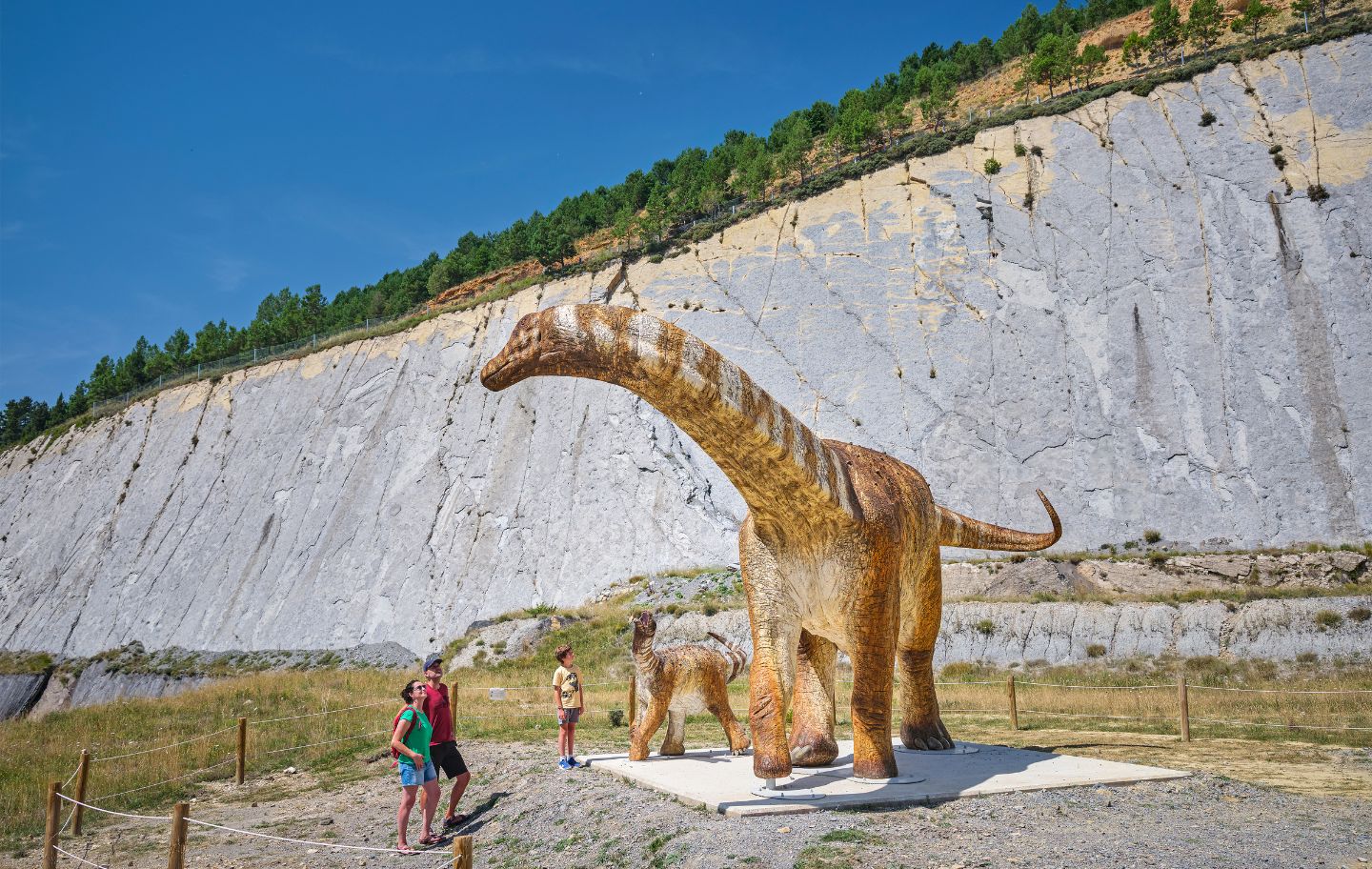 Al Centre d’Interpretació Dinosaures Fumanya, al Berguedà, hi ha dues figures hiperrealistes i a mida real d’una titanosaure i la seva cria