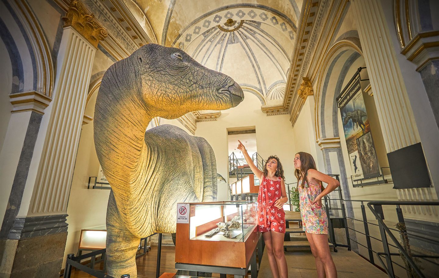 Un corpori a mida real d'un iguanodont presideix el Museu de Morella, situat a la capella de l’antiga església de Sant Miquel.
