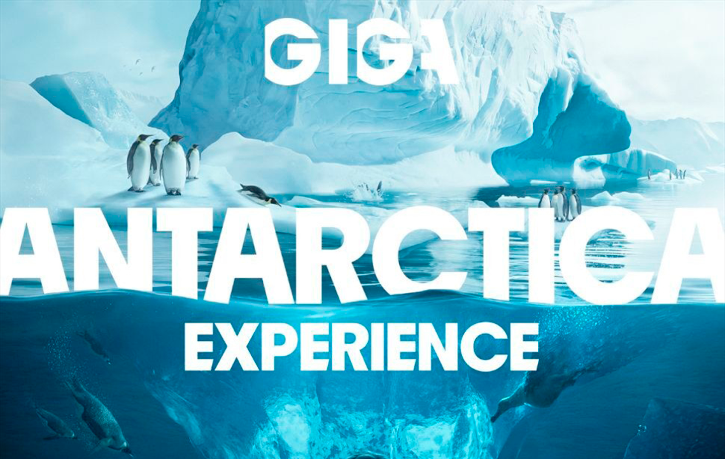 Antartica experience