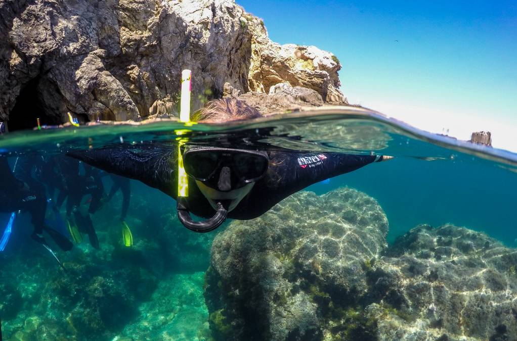 Les illes Medes són un indret ideal per practicar l'eco-snorkel