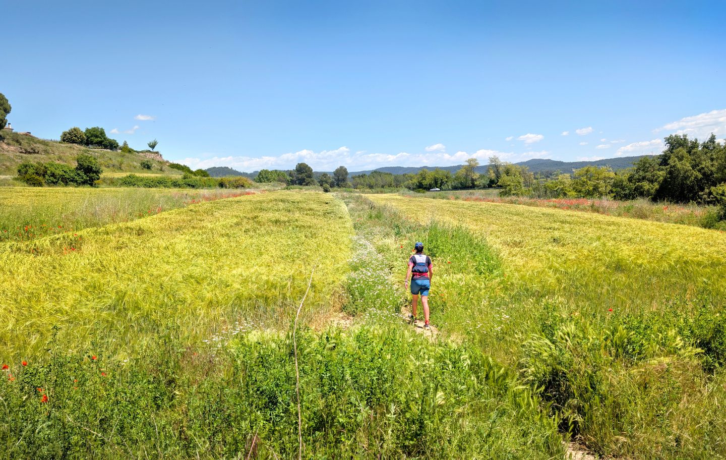 Entre corriols i camins que passen per sembrats, ens endinsem en la història d’aquesta zona del Bages.