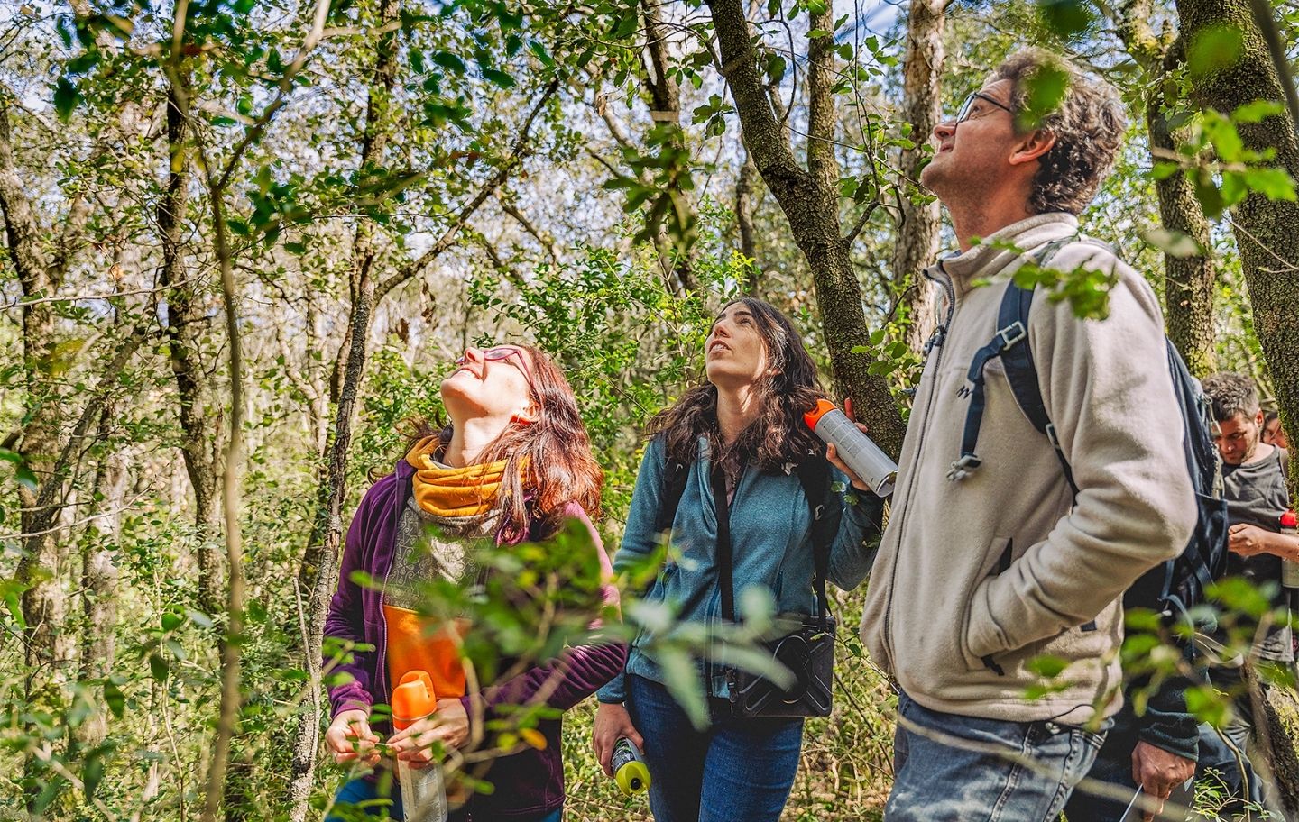L’equip de CustForest marca amb espais biodegradables els arbres on es col·locaran les plataformes per als voltors. L’equip de CustForest marca amb espais biodegradables els arbres on es col·locaran les plataformes per als voltors.