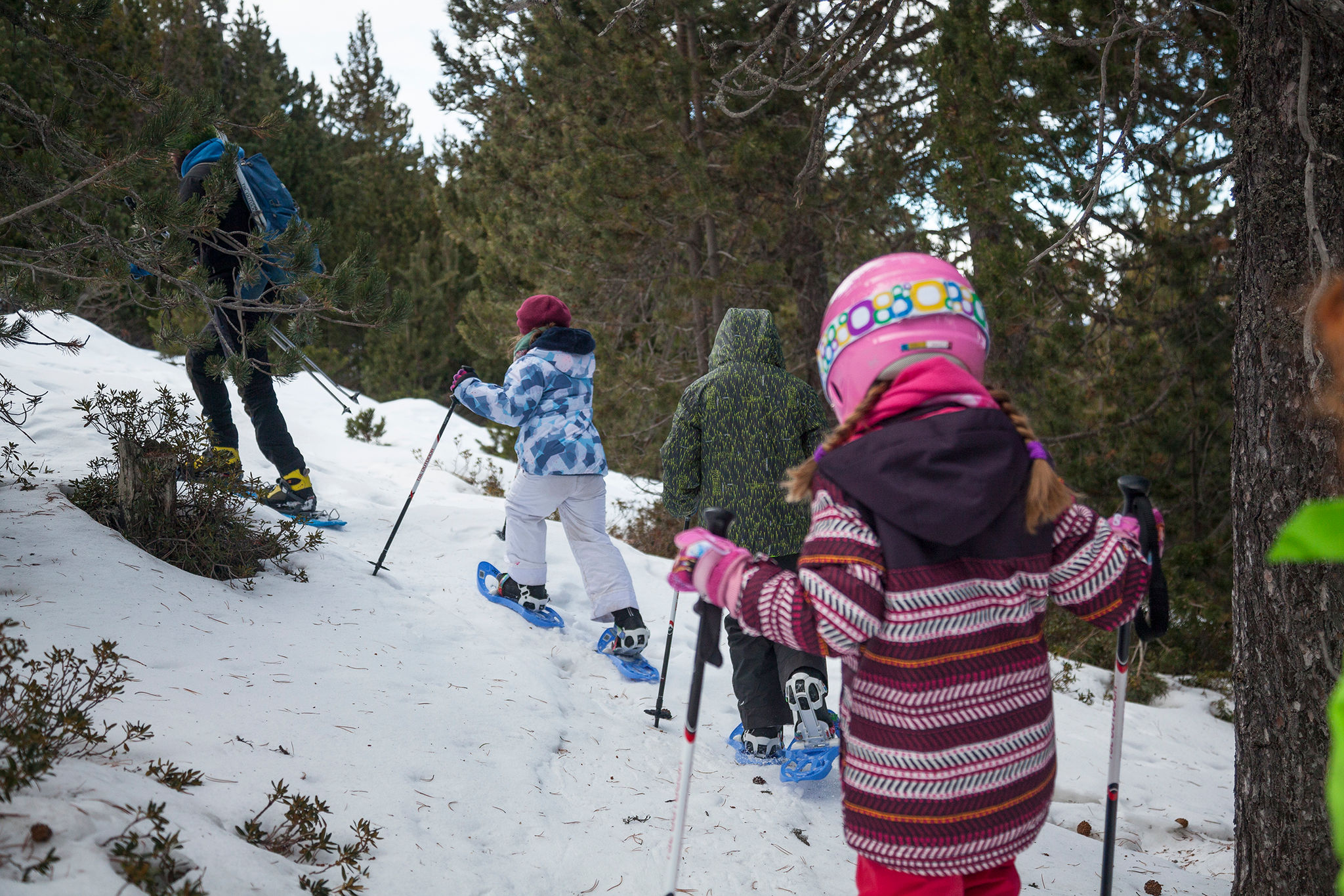 Ruta familiar en raquetes de neu d'Outdoor Adventour, a Portainé