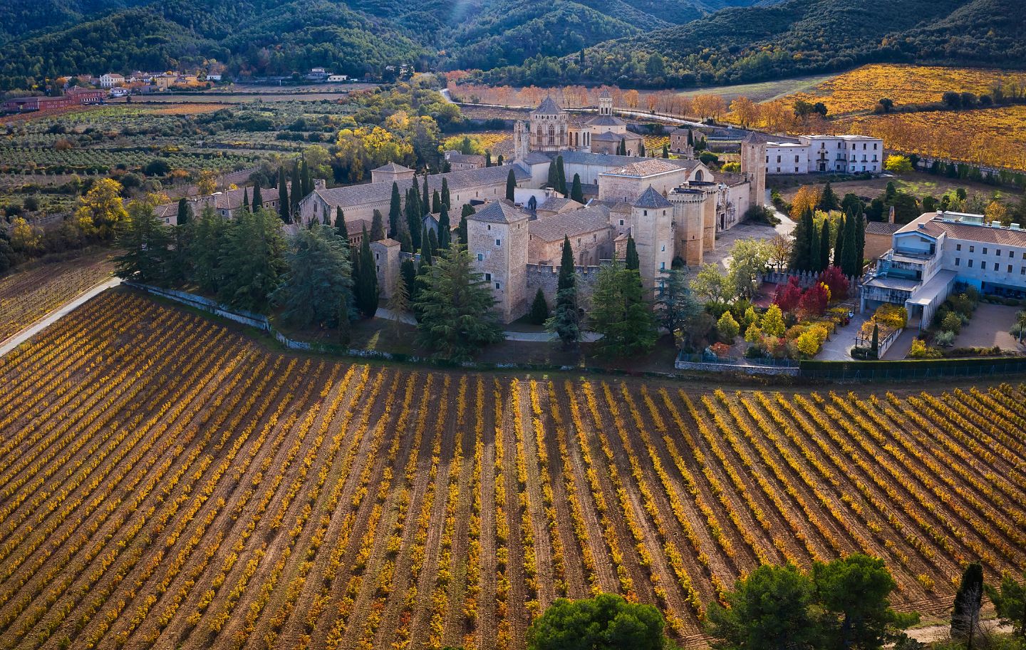 El monestir de Poblet és el gran atractiu del Paratge Natural del bosc de Poblet