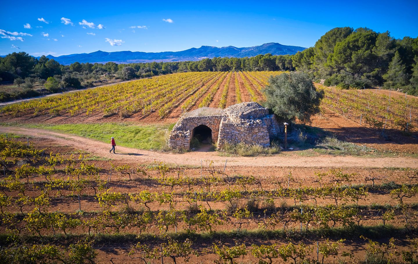 La Ruta de la Capona és un itinerari que passa per diferents construccions de pedra seca, declarat Patrimoni de la Humanitat per la Unesco