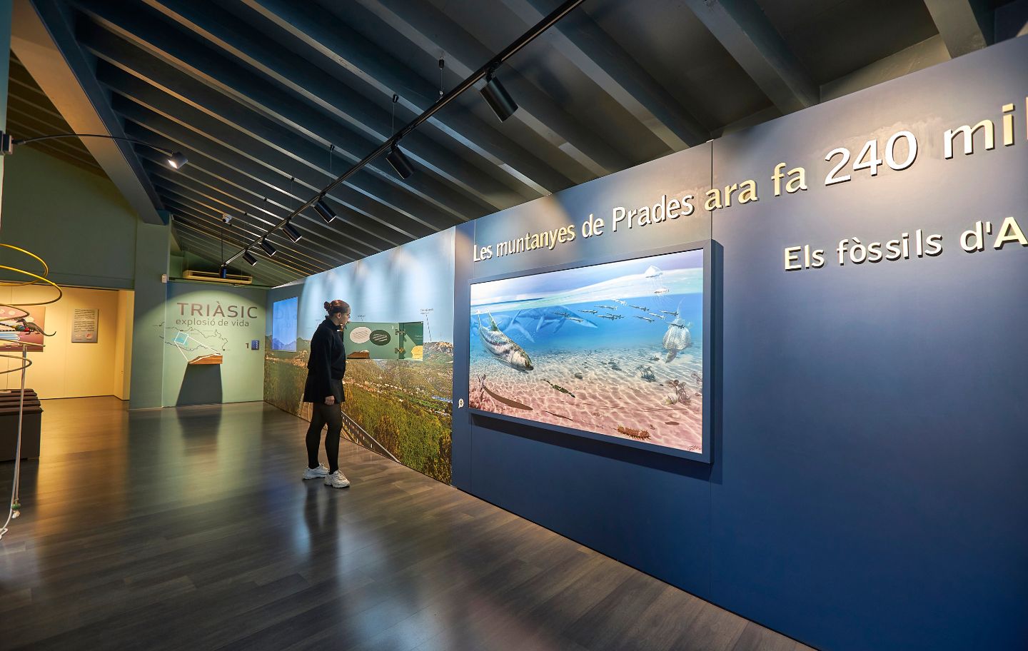 L'exposició 'Triàsic, explosió de vida' del Museu d'Alcover és un viatge fascinant a l'antic mar que cobria el que avui són les Muntanyes de Prades
