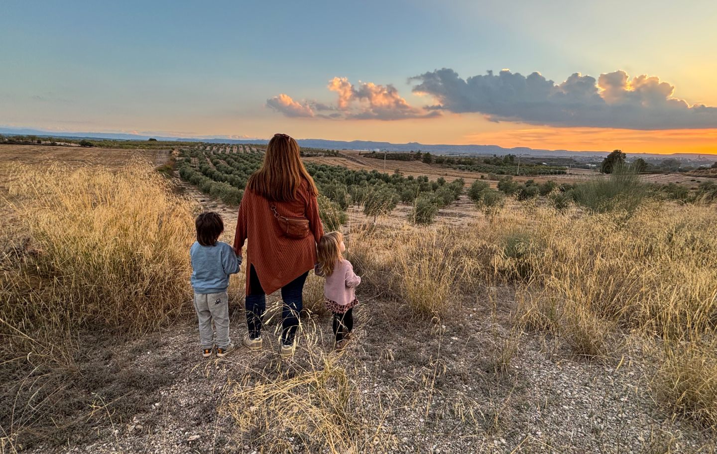 Un passeig pels camps d'oliveres dels voltants d'Arbeca, a les Garrigues, al capvespre
