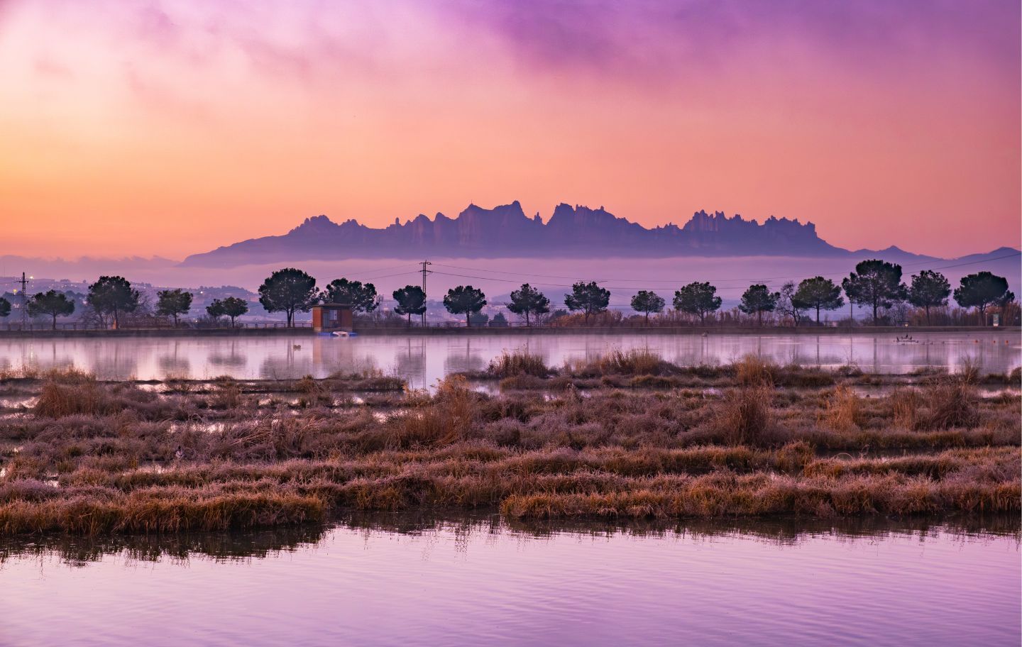 El Parc de l'Agulla de Manresa amb Montserrat al fons