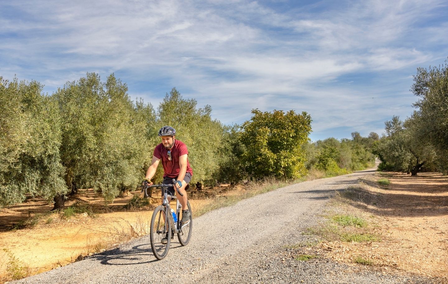 Un dels trets propis dels paisatges de l'interior del Montsià són els camps d’oliveres