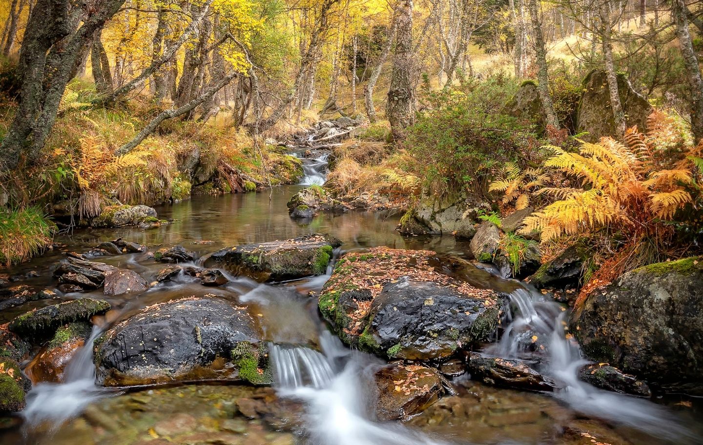 La capçalera  de la vall de Cardós, al Parc Natural de l’Alt Pirineu