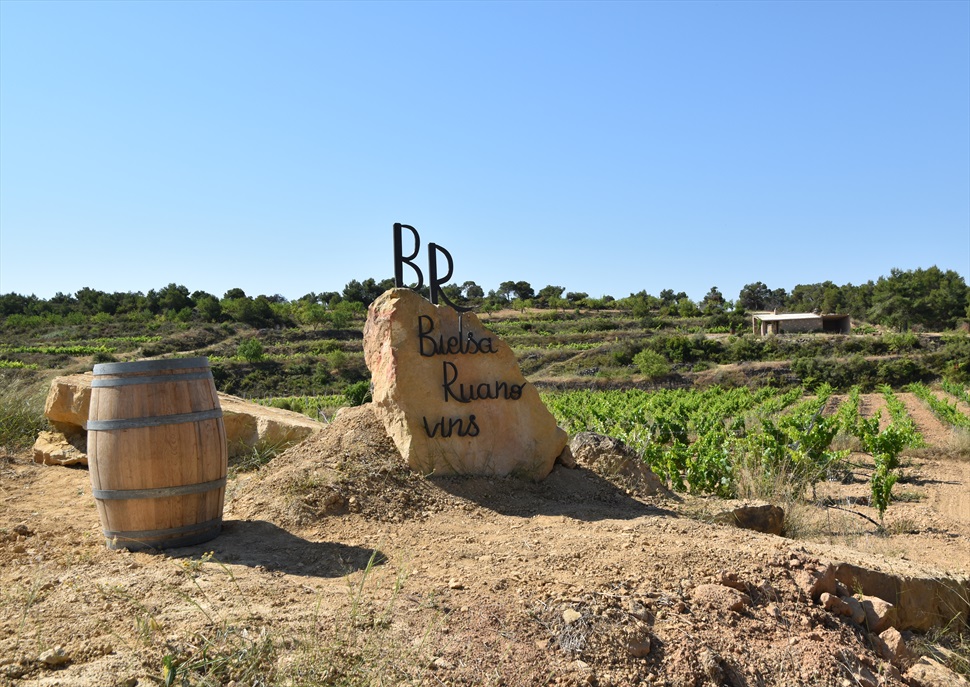 Visita Bielsa Ruano