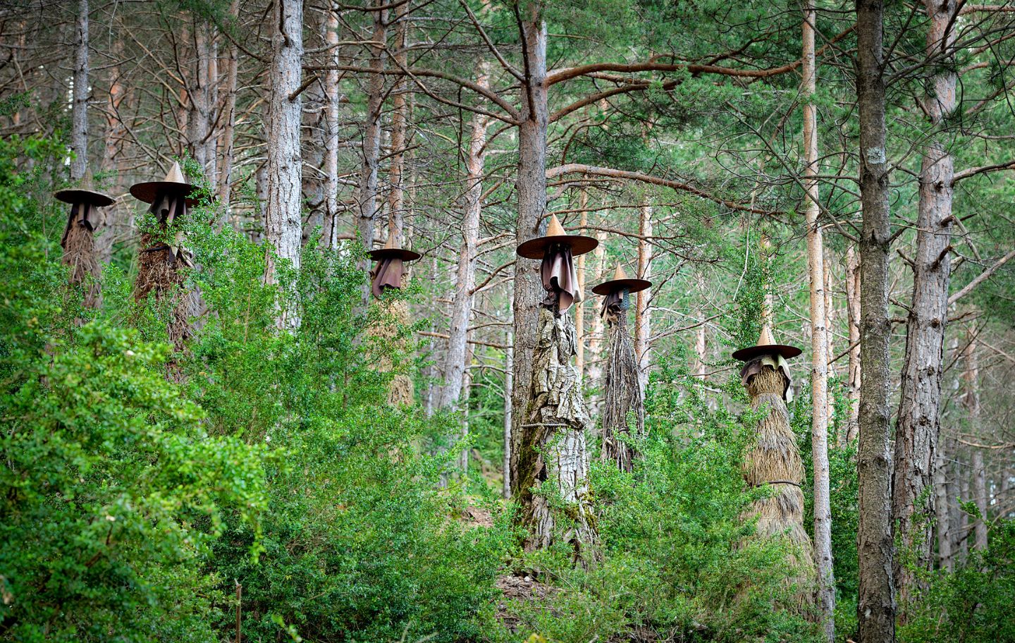 El Parc Temàtic de les Bruixes de les Paüls explica la llegenda de les bruixes del poble