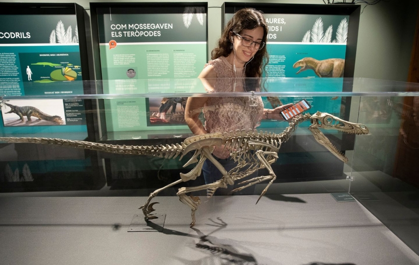El Museu de la Conca Dellà - Parc Cretaci mostra reproduccions i restes fòssils dels dinosaures que van habitar la zona El Museu de la Conca Dellà - Parc Cretaci mostra reproduccions i restes fòssils dels dinosaures que van habitar la zona