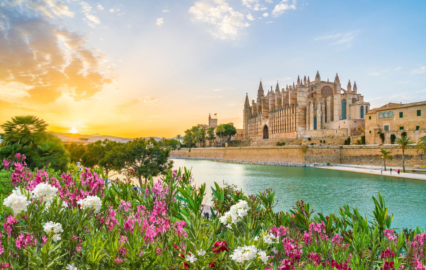 Palma, amb la catedral de la Seu presidint la badia, és la ciutat que va veure néixer Ramon Llull