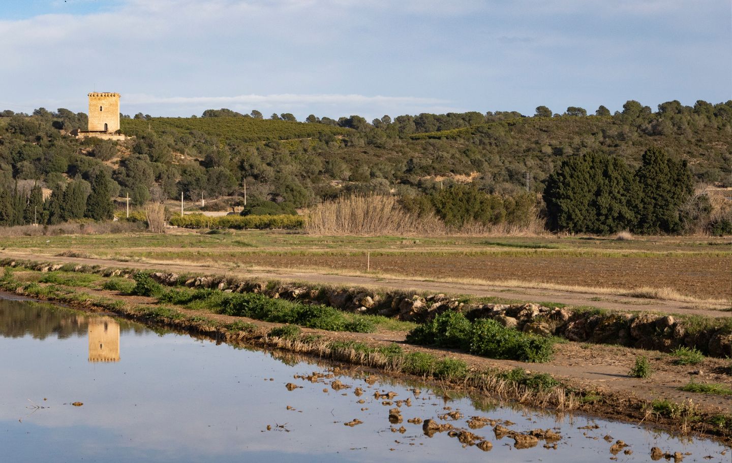 La torre de la Font de Quinto és un dels elements que veurem per aquesta ruta per l'entorn de Tortosa