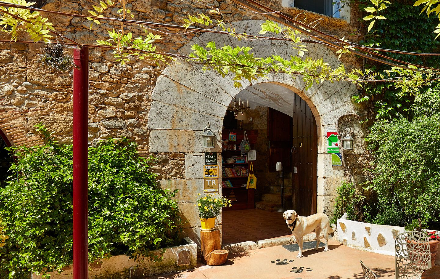 Mas Torrencito és un allotjament rural únic, on tot està pensat perquè els gossos puguin estar tranquils, i la seva família també