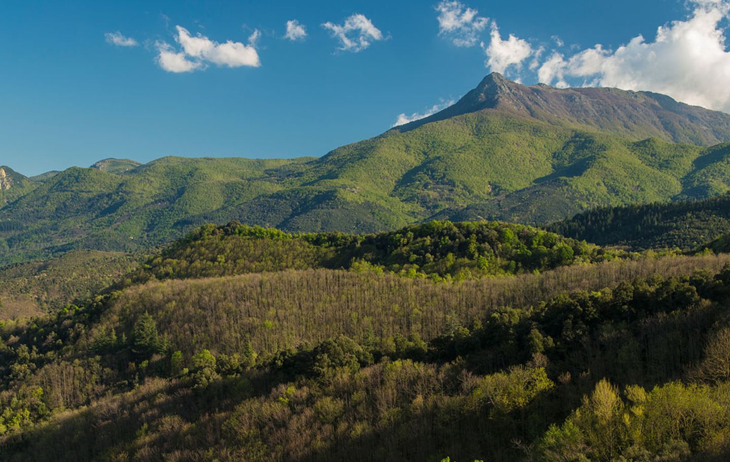 Els boscos del Parc Natural del Montseny, refugi d'en Serrallonga