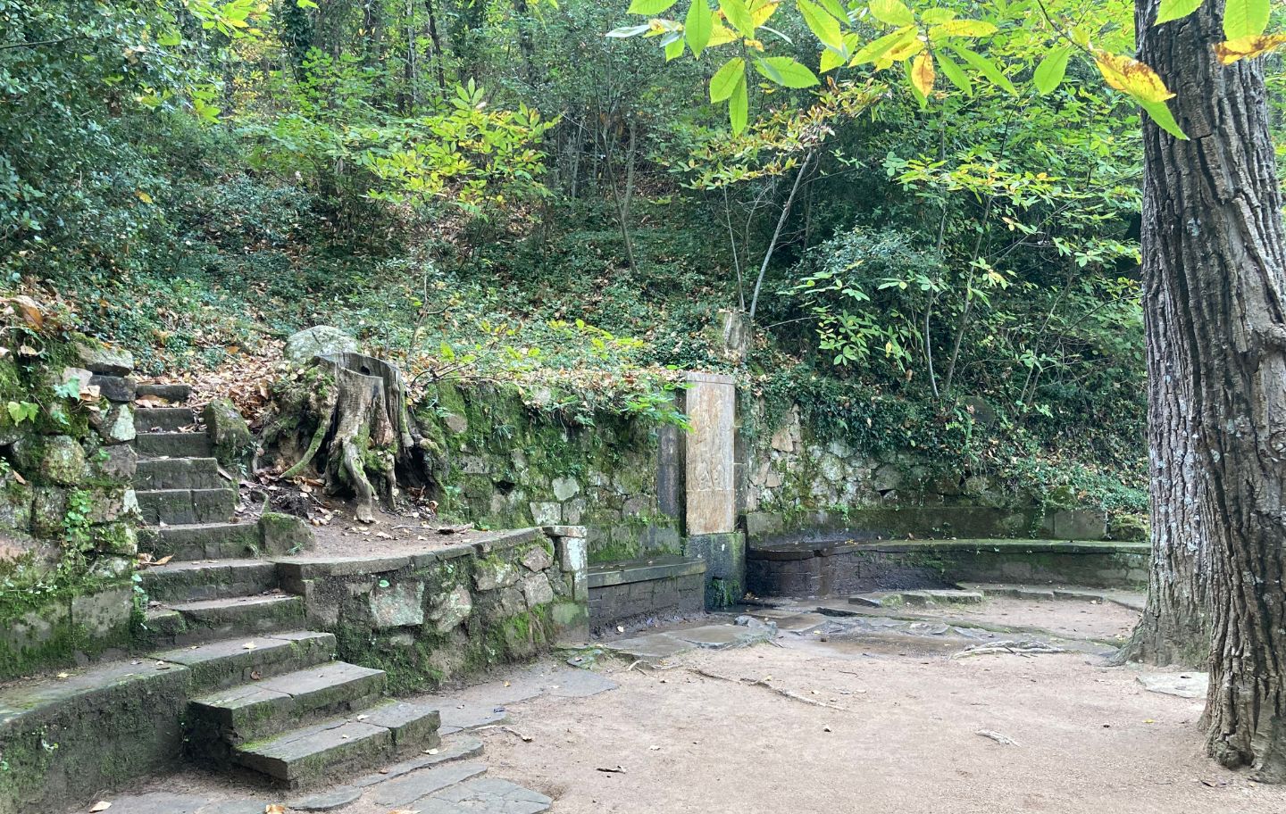La font de l'Oreneta al Montseny amb una estela de marbre dedicada al poeta Guerau de Liost