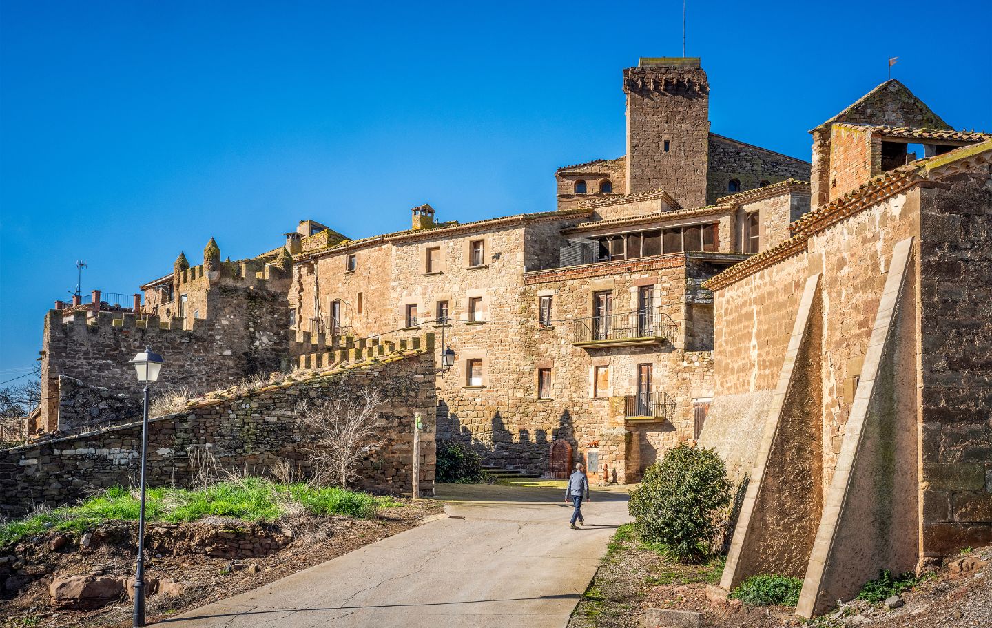L’Aranyó està format pel castell, on va néixer Manuel de Pedrolo, i algunes cases adjuntes