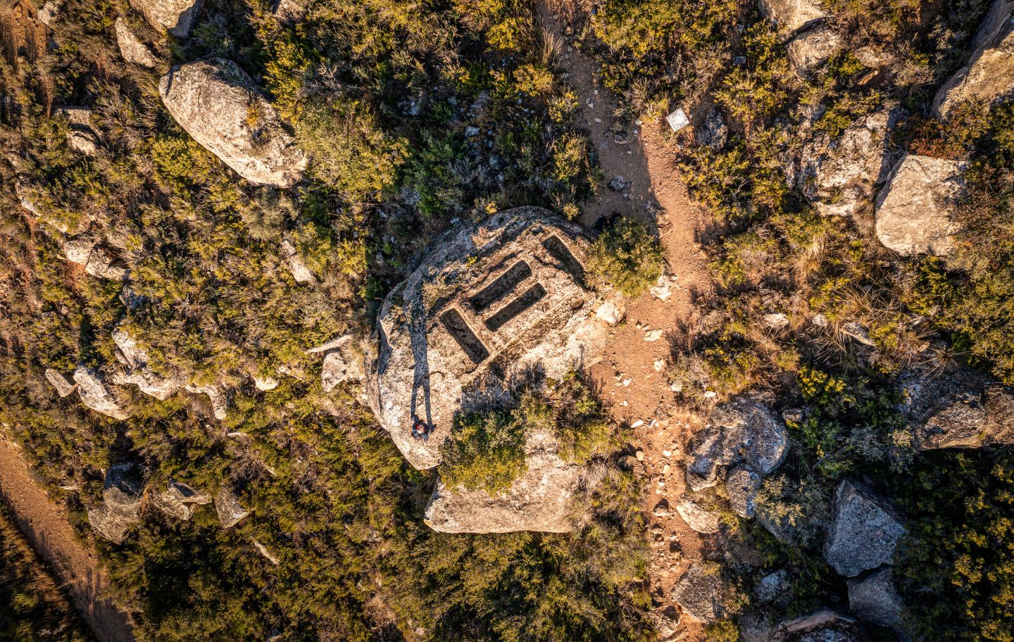 La necròpolis medieval del Saladar, amb tombes excavades a la roca, es troba en un esperó rocós envoltat de camps d’oliveres