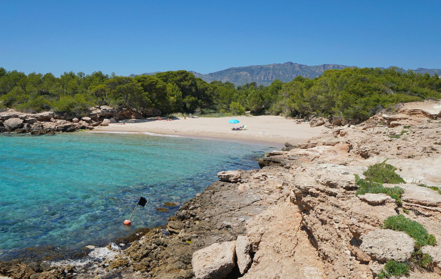 Cala lo Ribellet, entre pins i aigües tranquil·les, és un refugi de calma a la costa mediterrània