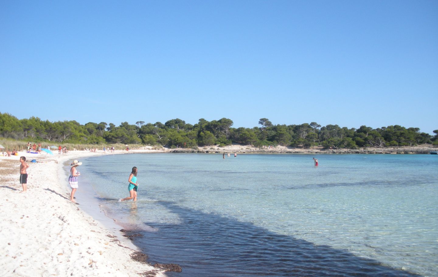 Son Saura desplega el sud més lluminós de Menorca, entre sorra blanca, pins i aigües tranquil·les