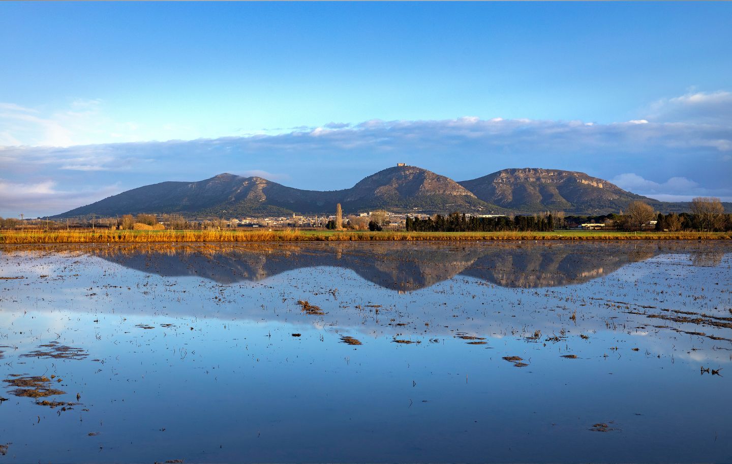 Els arrossars inundats de Fontanilles reflecteixen el perfil tan característic del Montgrí