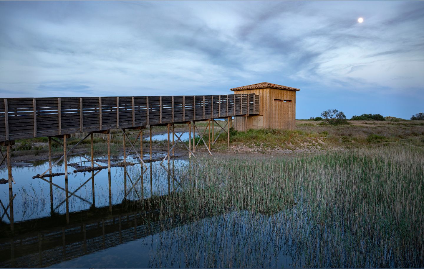 L'observatori de la Pletera, al Parc Natural del Montgrí, les Illes Medes i el Baix Ter