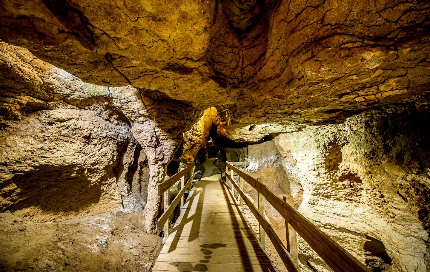 Les coves del Toll de Moià us endinsen en la prehistòria del Moianès, entre galeries mil·lenàries i rastres de fauna quaternària